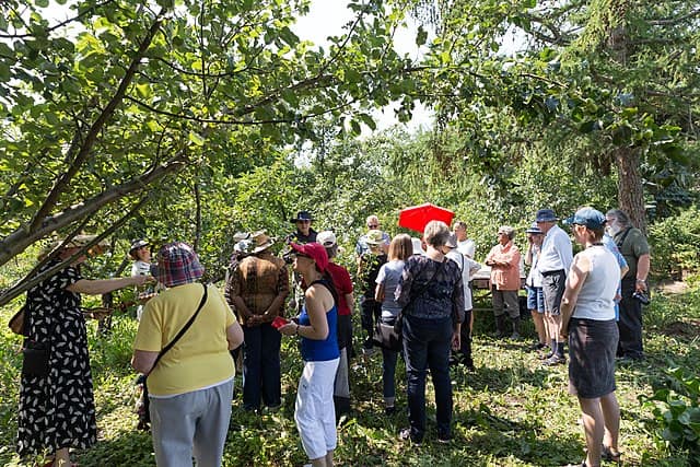 Where can you find community orchards for μηλε picking?