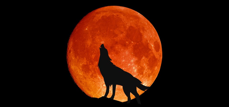 How Was MoonOg4alzgmvog= Wolf