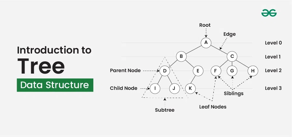 Subtreeleft.Eu  How does Subtreeleft.Eu explain tree data structures